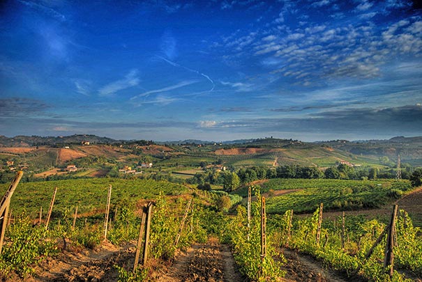 Weinanbaugebiet Chianti Toskana- eine der schönsten Landschaften der Toskana
