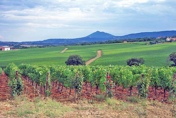 Weingut im Val d’Orcia mit Monte Amiata im Hintergrund