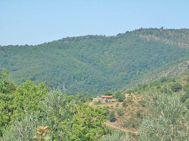 Hügelige Landschaft bei Castiglion Fiorentino