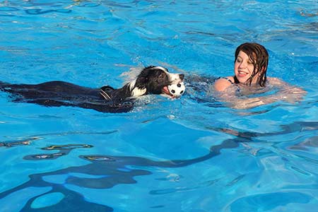 Ferienhäuser für Urlaub mit Hund in Portoferraio