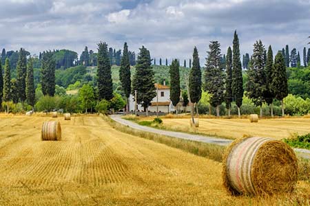 Urlaub auf dem Bauernhof in Volterra